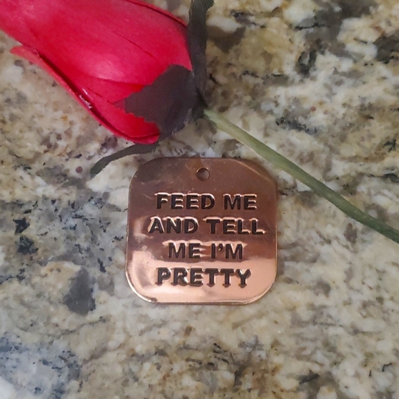 Charming Charlie Other - Pet Collar Tag